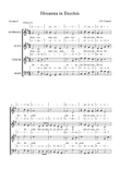 Hosanna In Excelsis