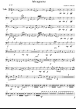 Mecuppatea ('Cello part)