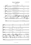 Stefano Maria Torchio: Consul æterni