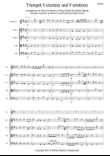 Trumpet Voluntary (The Prince of Denmark's March)