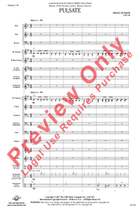 Pulsate Concert Band scores gallery preview page 3