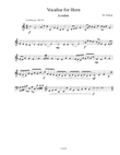 Voclise for Horn