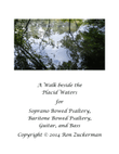 A Walk beside the Placid Waters