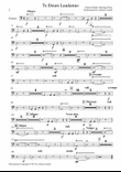 Parry - Te Deum Orchestrated by Adrian Connell - Timpani