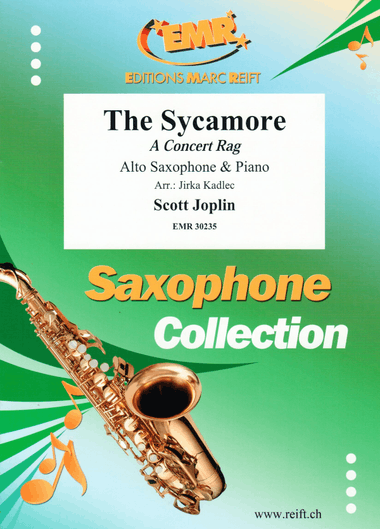 The Sycamore