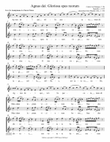 Agnus dei: Gloriosa spes reorum, from Anonymous 4's 