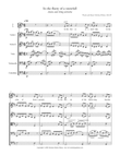 In the flurry of a snowfall - String orchestra version (everything included)