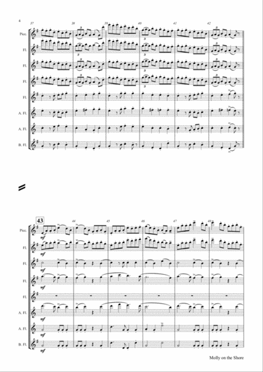 Molly on the shore - Irish Folk - Flute Choir - Octet Flute Choir scores gallery preview page 4