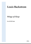 Wings of Sleep