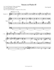 Sonata on Psalm 45