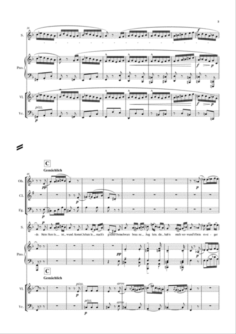 Wer hat dies Liedlein Erdacht? Bassoon scores gallery preview page 3