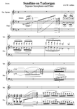 Sunshine on Taxkorgan - Sunshine on Tashkurgan, for saxophone and piano (Score + Solo part)
