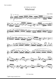 Whirlwind (tenor saxophone)
