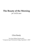The Beauty of the Morning