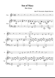 Son of Mary - flute & harp