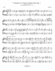7 Variations on a Theme of Bruno Peres in D Major Op.1