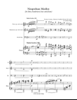 Neapolitan Medley (for flute, bandoneon, bass and piano)