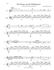 Ein Strauss aus der Frühlingszeit (a bunch of flowers from springtime) for flute and guitar
