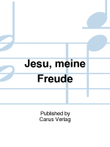 Jesu, thou my pleasure