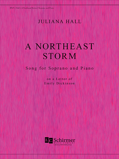 A Northeast Storm
