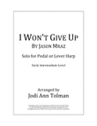 I Won't Give Up