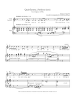 Qual fiamma...Stridono lassù (Nedda's Aria) from Pagliacci - Accessible Accompaniments Edition