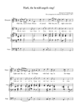 Hark the herald angels sing - Last Verse arrangement with Descant