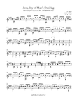 Jesu, Joy of Man's Desiring (Guitar Solo)