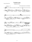 Tumbleweeds ( duo for Flute and Cello)
