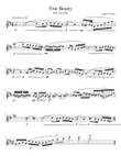 True Beauty (Flute Solo)