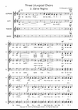 Three Liturgical Choirs 2. Salve Regina