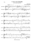 12 easy Canzonets for alto recorder duo