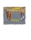 Footloose