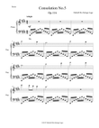 Consolation No.5