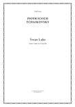 Scene from Swan Lake Suite Op. 20a