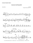 America The Beautiful (solo cello)