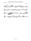 Fanfare for the Common Trumpeter