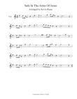 Safe In The Arms Of Jesus (Easy key of C) - Flute mini preview