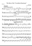 Cavalleria Rusticana per Quintetto di fiati - Basson