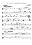 cavalleria Rusticana per Quintetto di fiat - Flute