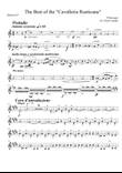 cavalleria Rusticana per Quintetto di fiati - Horn in F