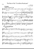 Cavalleria Rusticana per Quintetto di fiati - Oboe