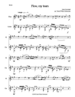 Flow my tears for flute and guitar (with divisions)