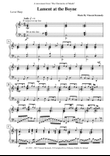 Lament at the Boyne (for Lever/Non Pedal Harp)