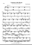 Lament at the Boyne (for Concert Harp)