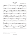 Puer nobis - Setting I