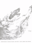 Catalogue of Birds (Catalogue d'Oiseaux) - Volume 1
