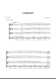 Caminant (walker)
