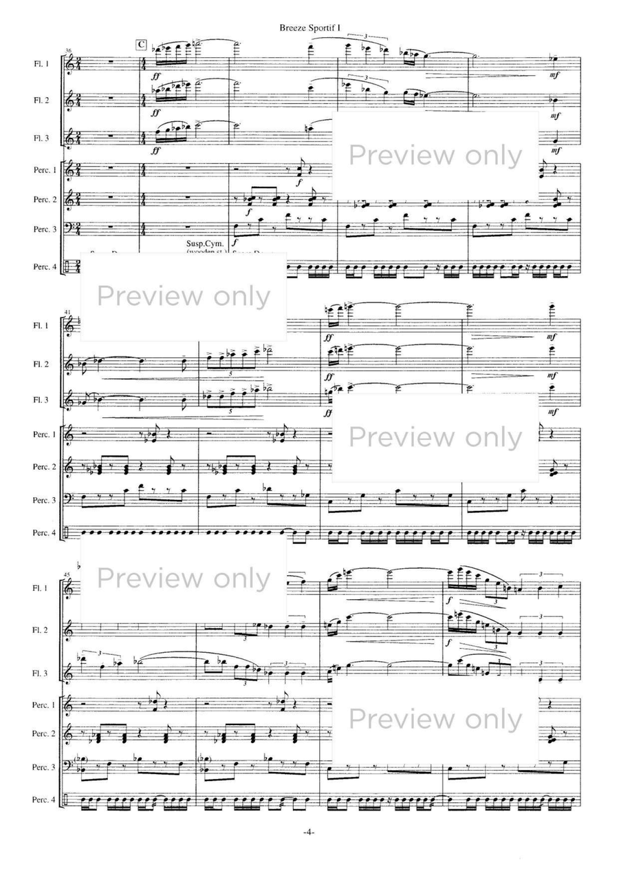 Breeze Sportif I - Flute & Percussion Septet Flute Trio scores gallery preview page 5