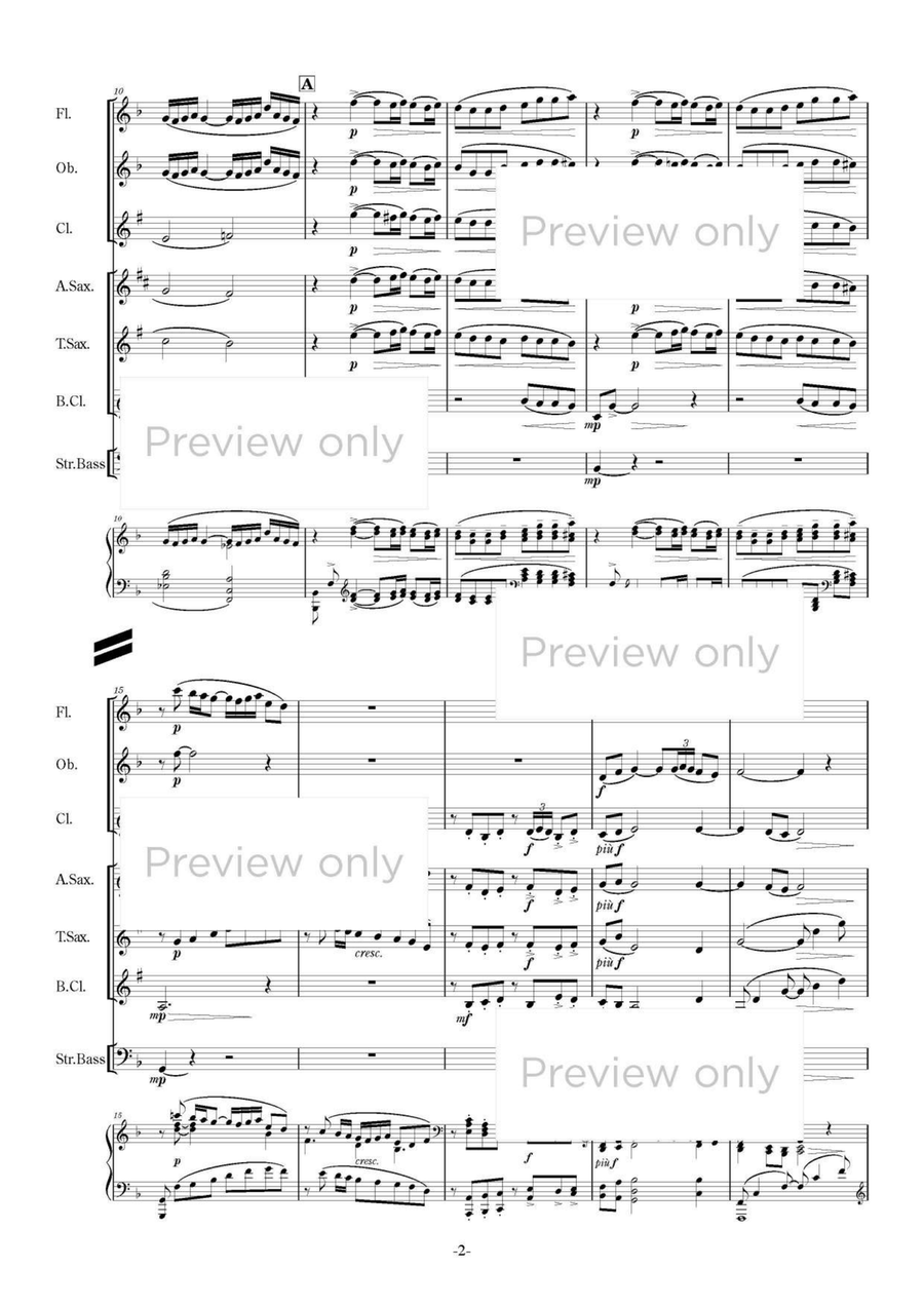 Suite Bergamasque - Woodwind & String Bass Septet Chamber Music scores gallery preview page 3